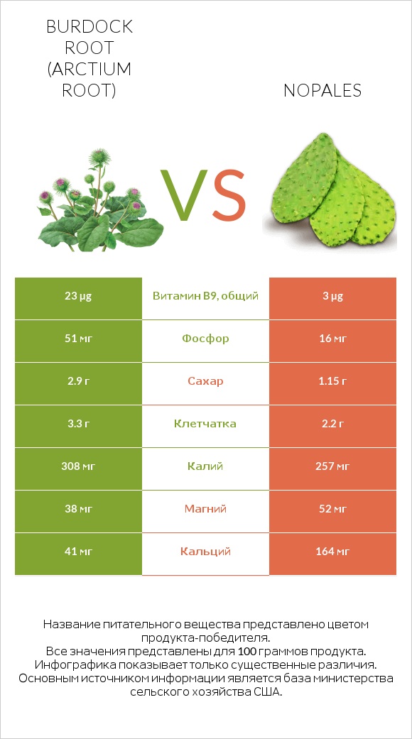 Burdock root vs Nopales infographic