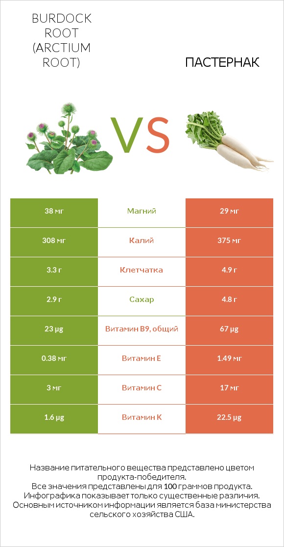 Burdock root vs Пастернак infographic