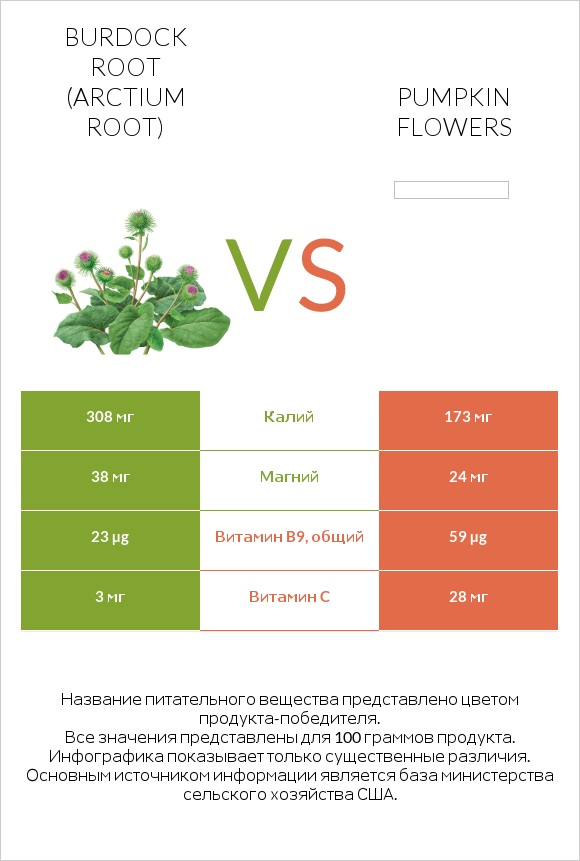 Burdock root vs Pumpkin flowers infographic