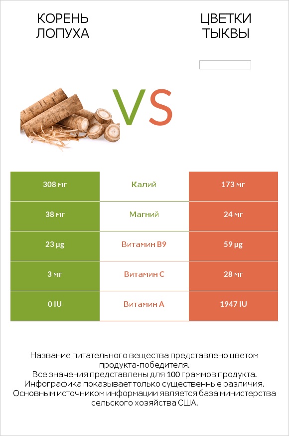 Burdock root vs Pumpkin flowers infographic