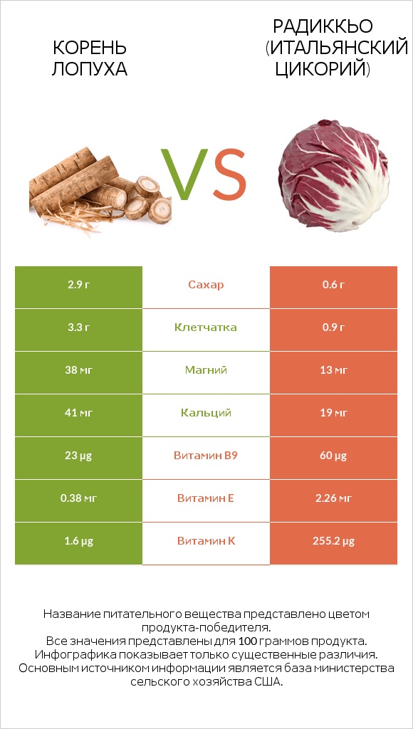 Burdock root vs Radicchio infographic