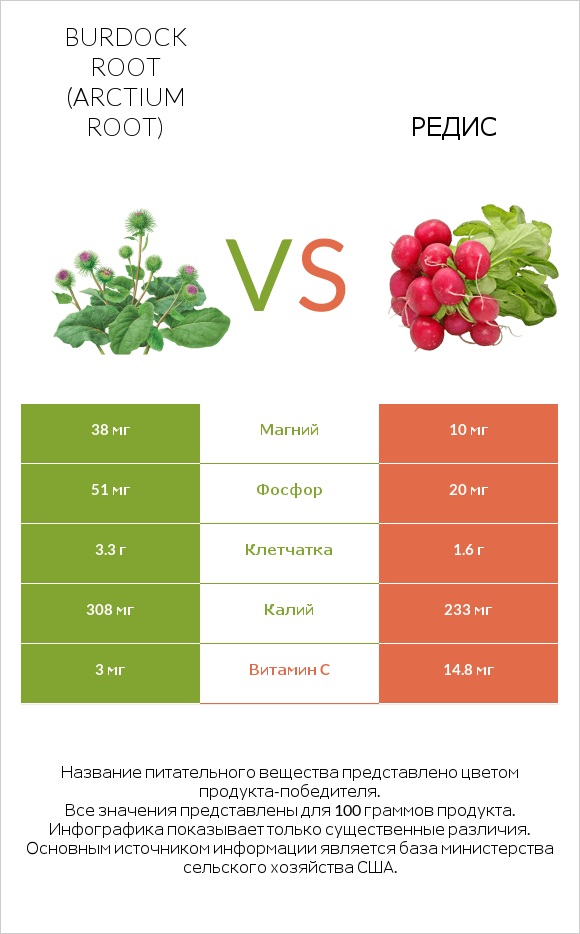 Burdock root vs Редис infographic