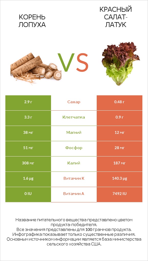 Корень лопуха vs Красный салат-латук  infographic