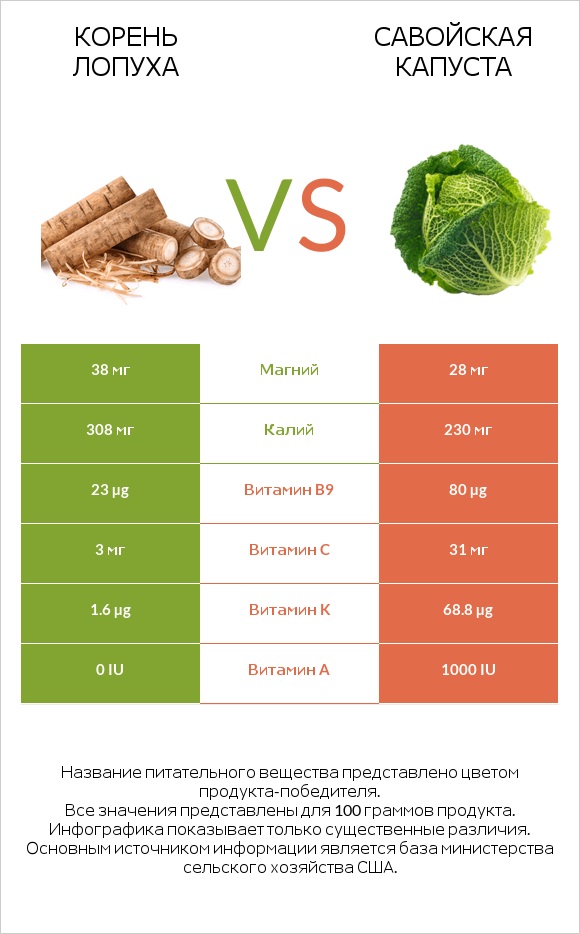 Burdock root vs Савойская капуста infographic