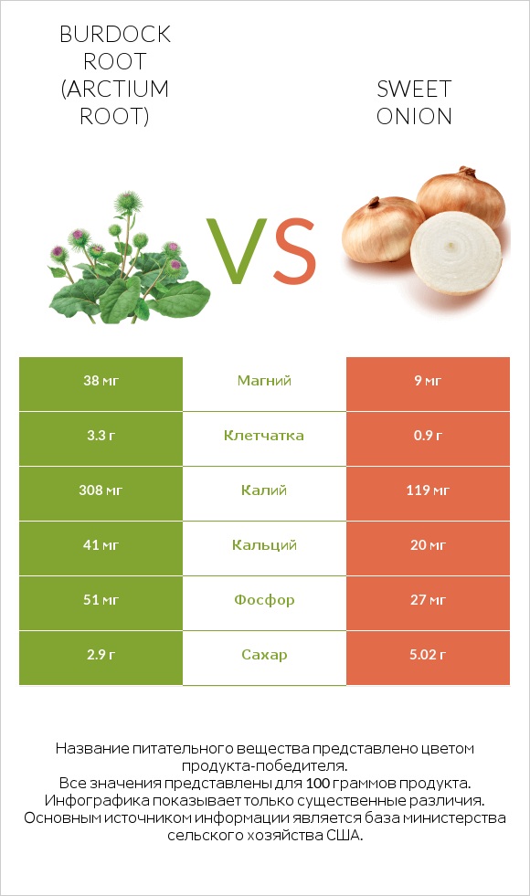 Burdock root vs Sweet onion infographic