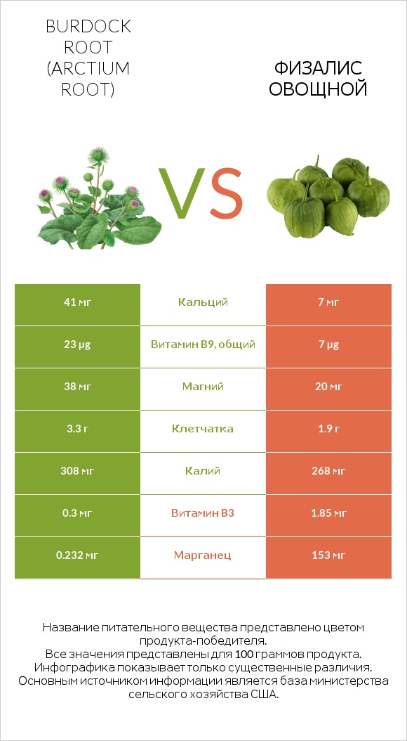 Burdock root vs Физалис овощной infographic