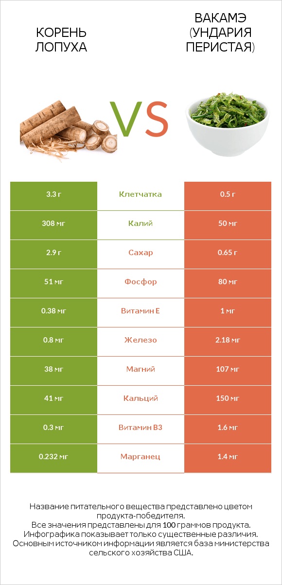 Burdock root vs Ундария перистая infographic