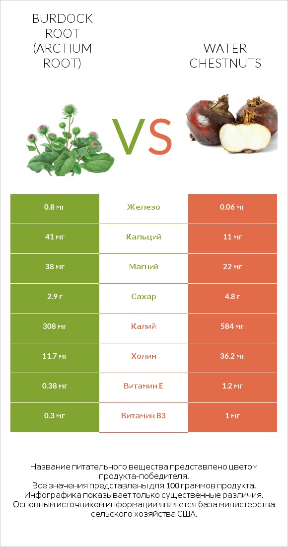Burdock root vs Water chestnuts infographic