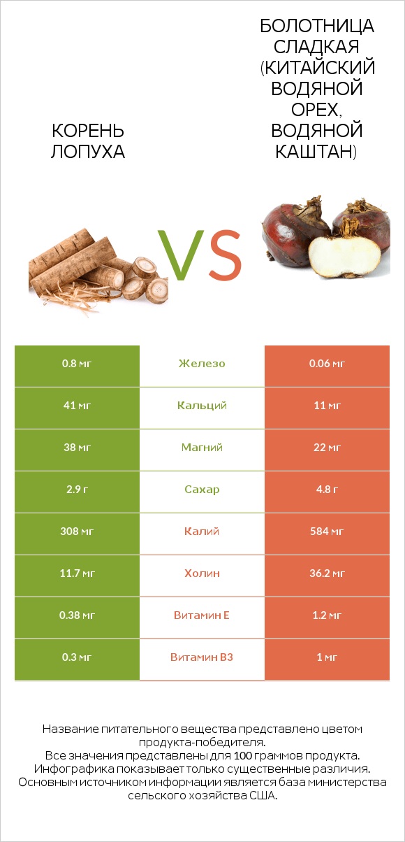 Burdock root vs Water chestnuts infographic