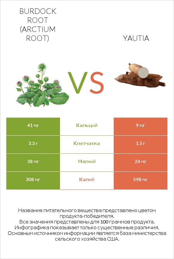 Burdock root vs Yautia infographic