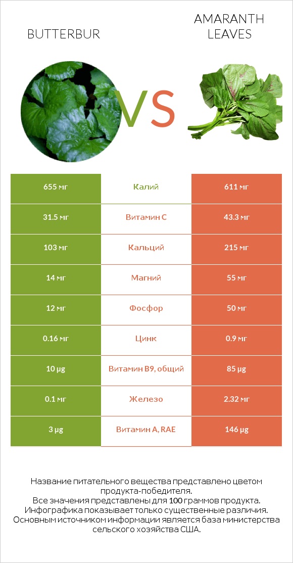 Butterbur vs Amaranth leaves infographic