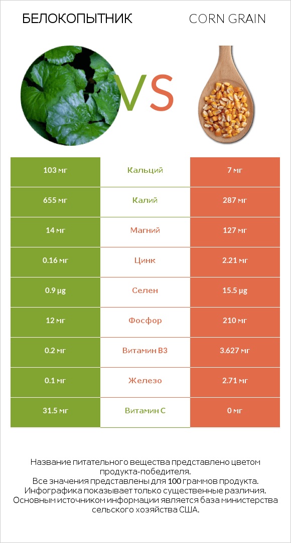 Белокопытник vs Corn grain infographic