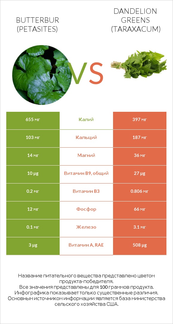 Butterbur vs Dandelion greens infographic