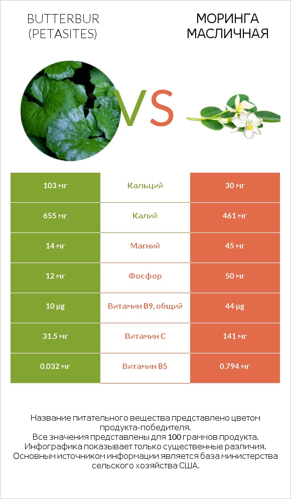 Butterbur vs Моринга масличная infographic