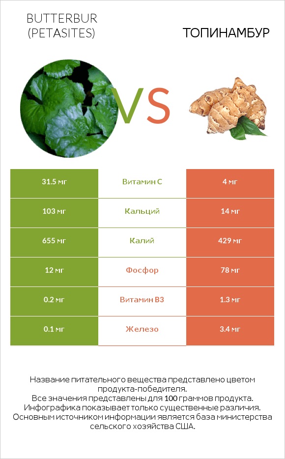 Butterbur vs Топинамбур infographic