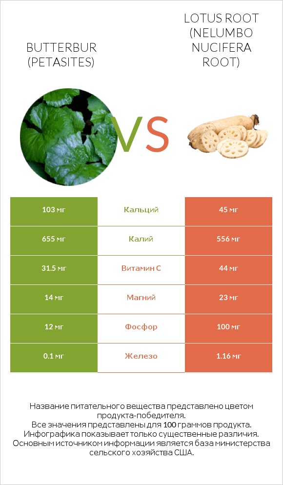 Butterbur vs Lotus root infographic
