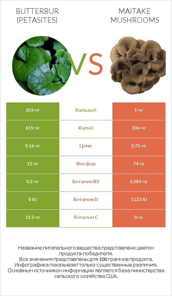 Butterbur vs Maitake mushrooms infographic