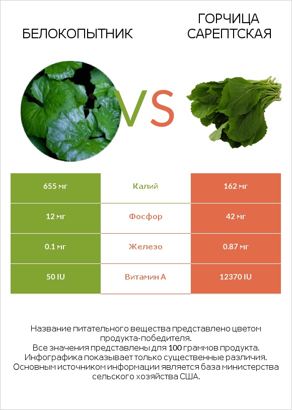 Butterbur vs Горчица сарептская infographic