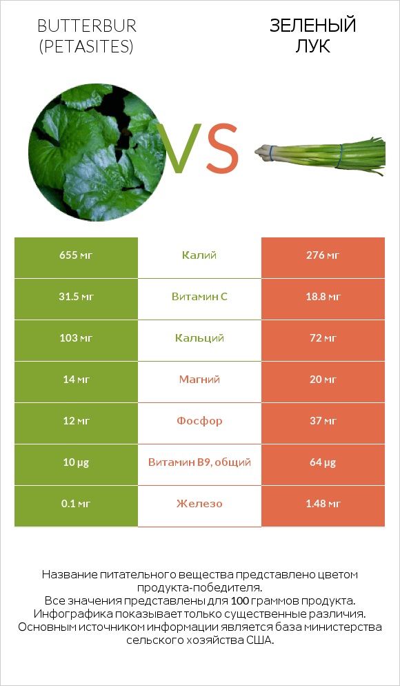 Белокопытник vs Зеленый лук infographic