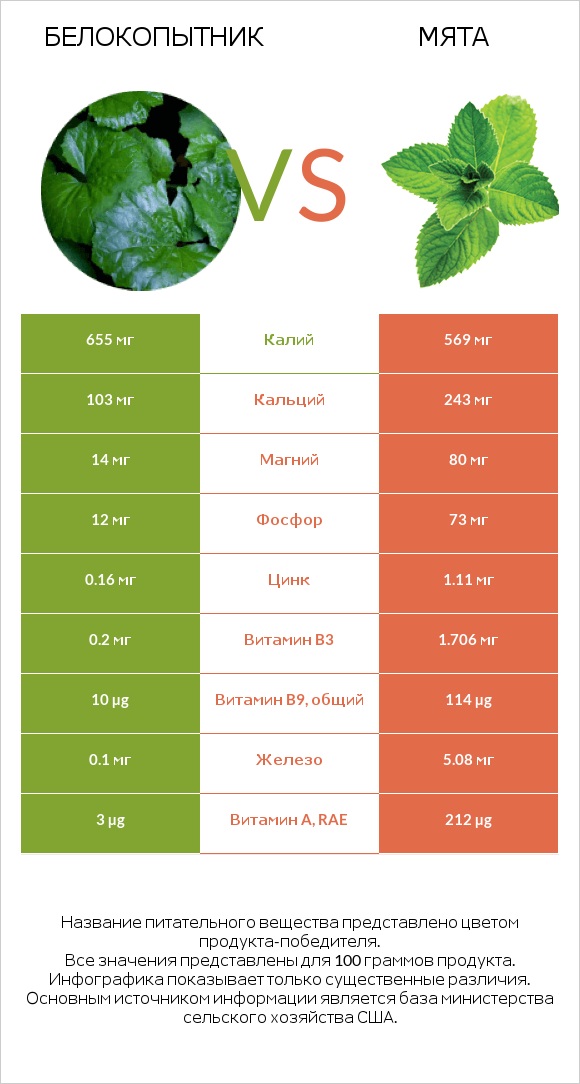 Белокопытник vs Мята infographic