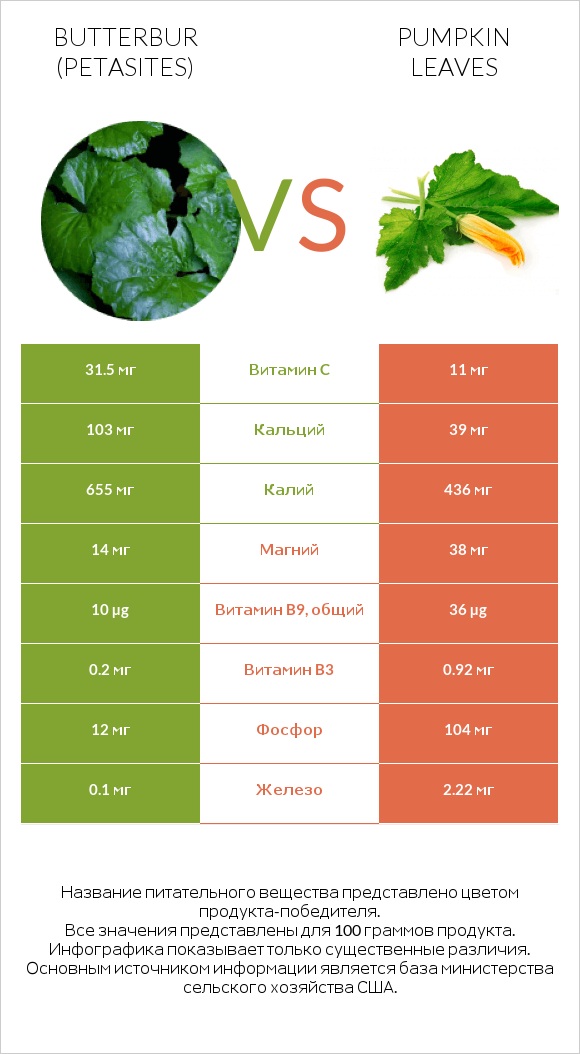 Butterbur vs Pumpkin leaves infographic