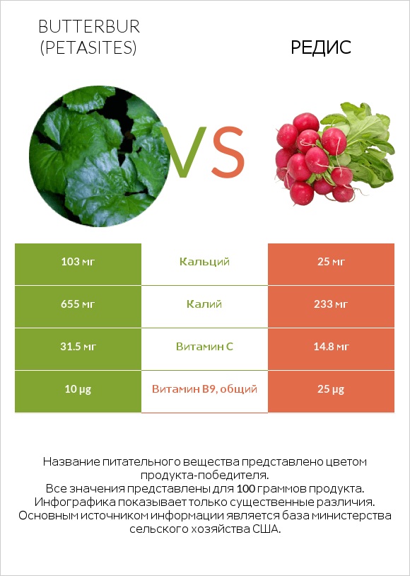 Butterbur vs Редис infographic