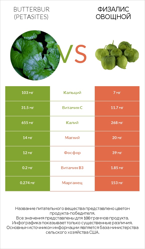 Butterbur vs Физалис овощной infographic