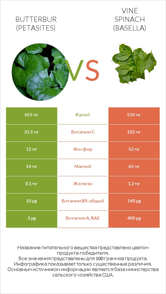 Butterbur vs Vine spinach (basella) infographic
