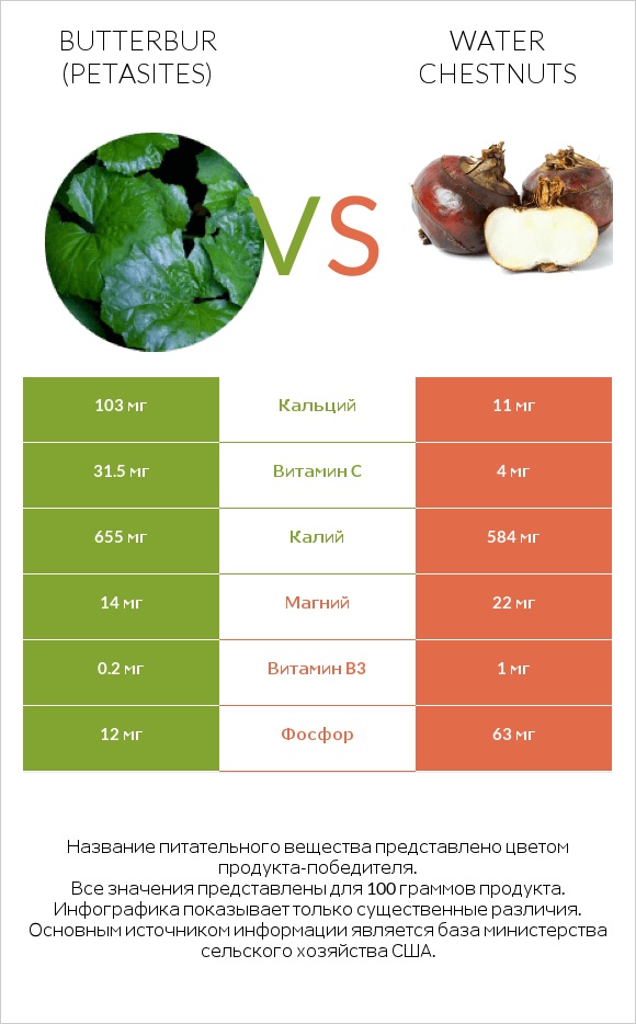 Butterbur vs Water chestnuts infographic