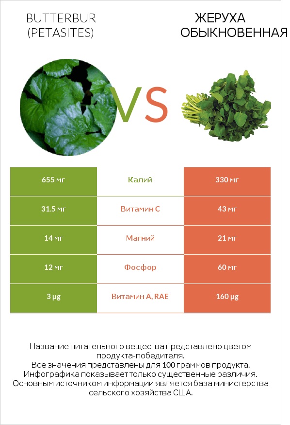 Белокопытник vs Жеруха обыкновенная infographic