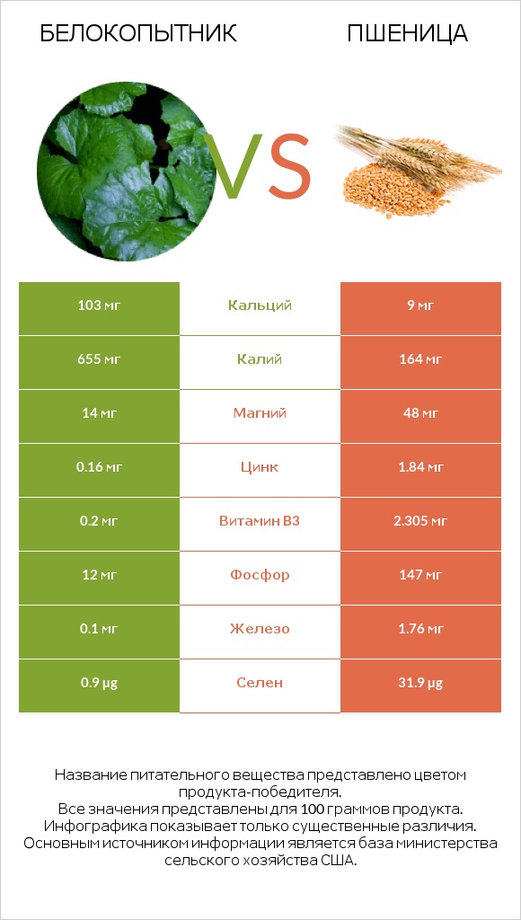 Белокопытник vs Пшеница infographic