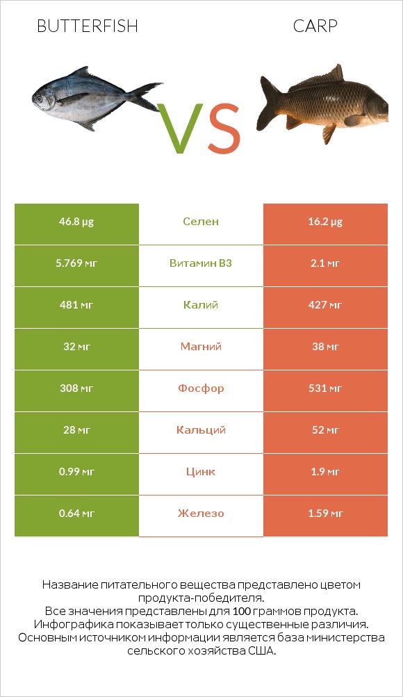 Butterfish vs Carp infographic