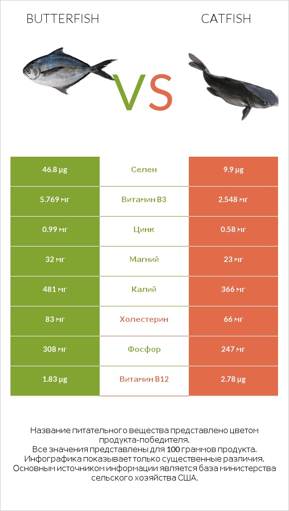 Butterfish vs Catfish infographic