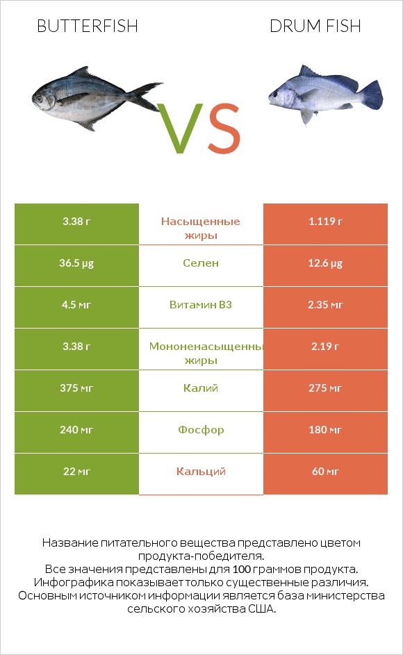 Butterfish vs Drum fish infographic