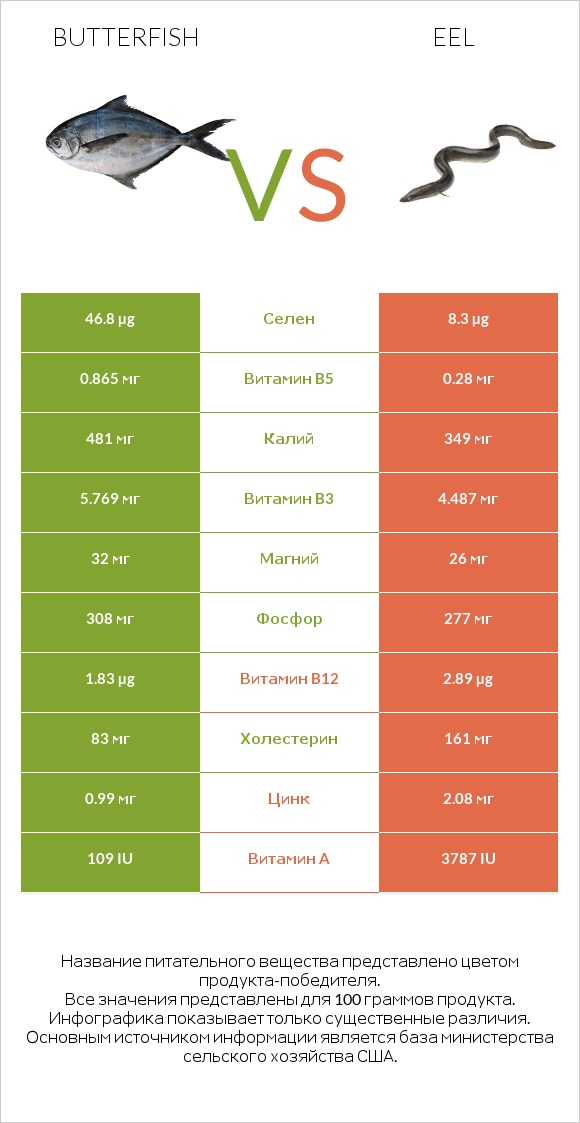 Butterfish vs Eel infographic