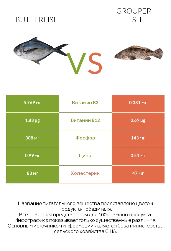 Butterfish vs Grouper fish infographic