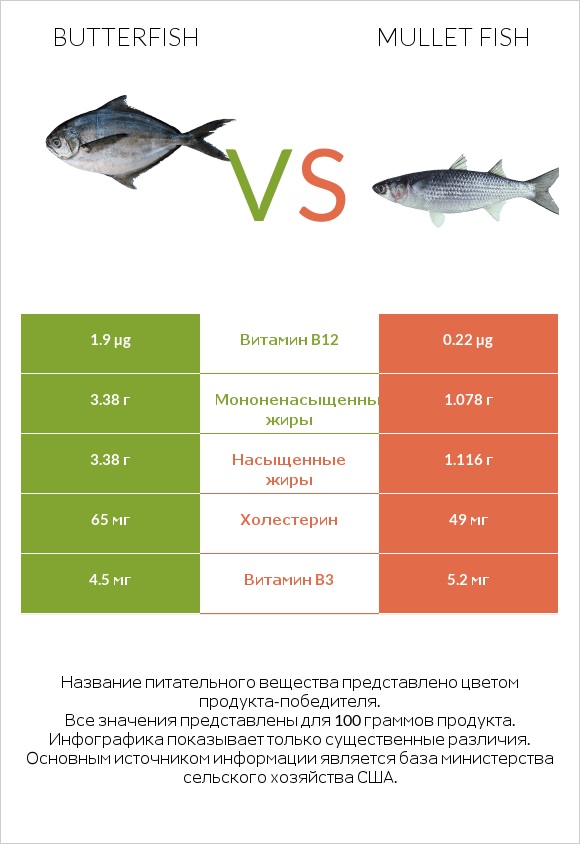 Butterfish vs Mullet fish infographic