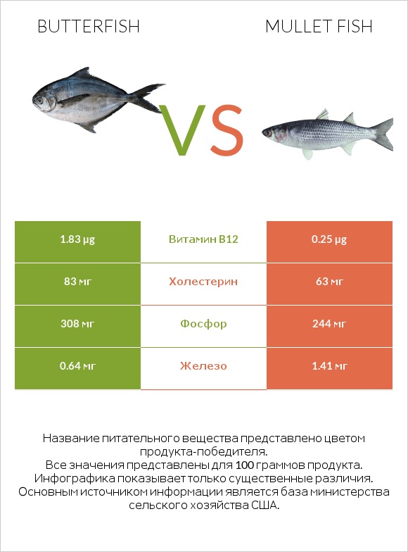 Butterfish vs Mullet fish infographic