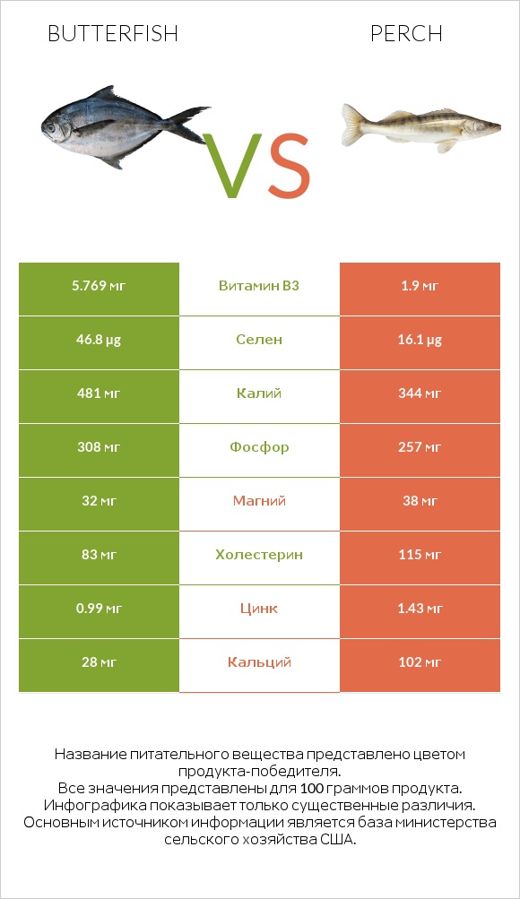 Butterfish vs Perch infographic