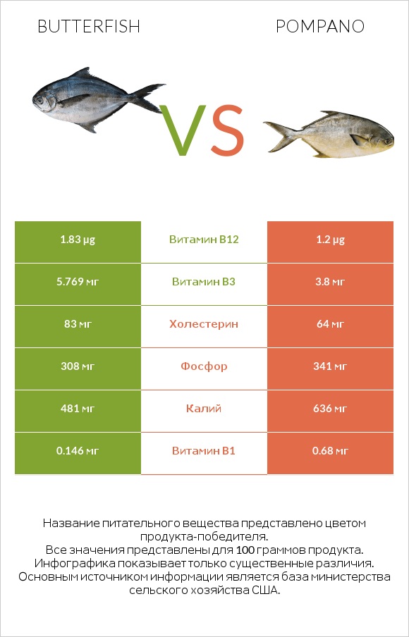 Butterfish vs Pompano infographic