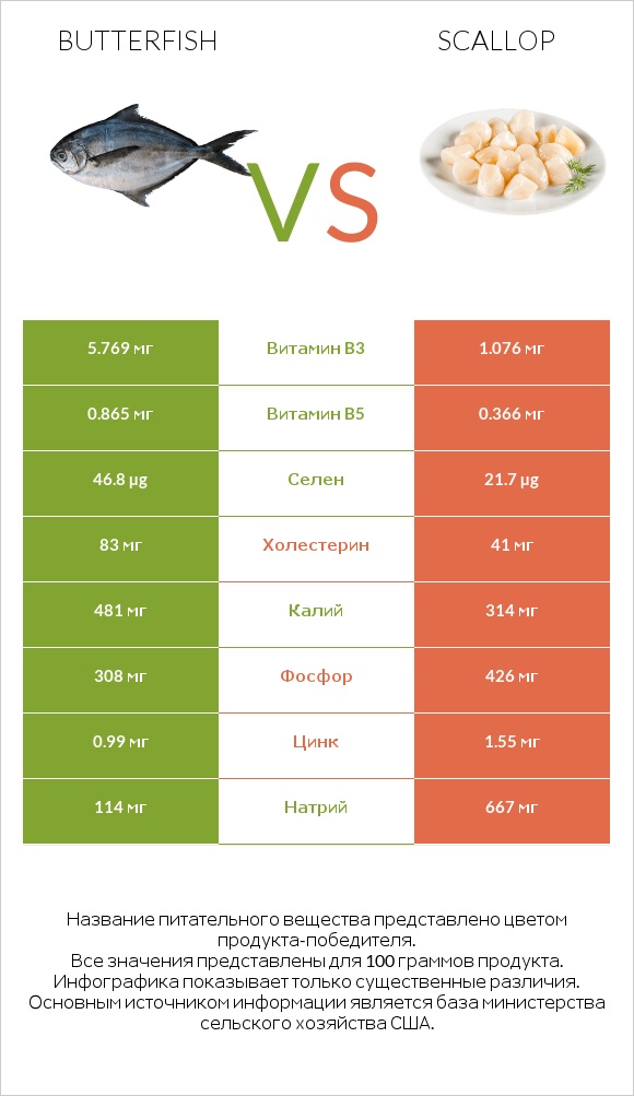 Butterfish vs Scallop infographic