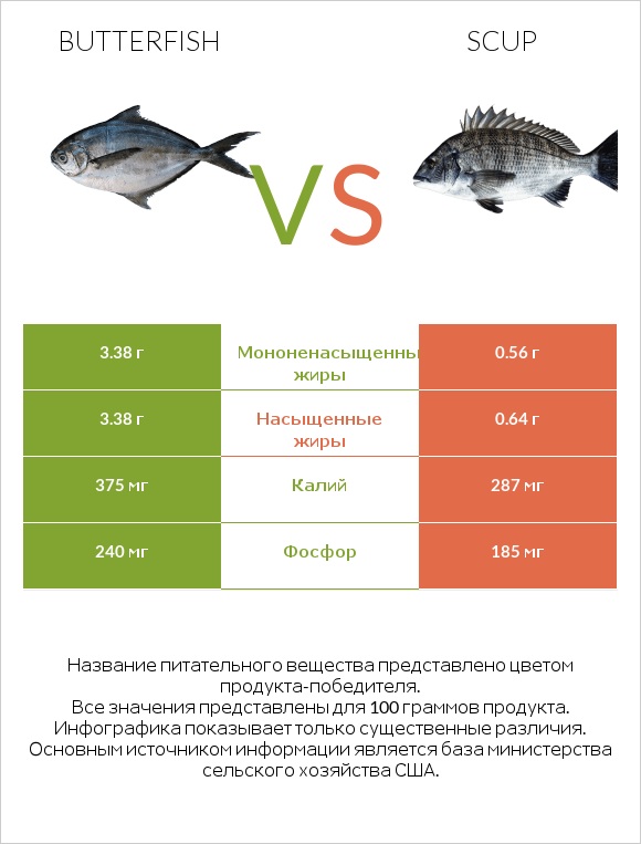 Butterfish vs Scup infographic