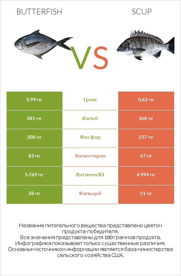 Butterfish vs Scup infographic