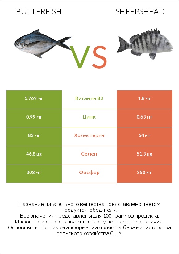 Butterfish vs Sheepshead infographic