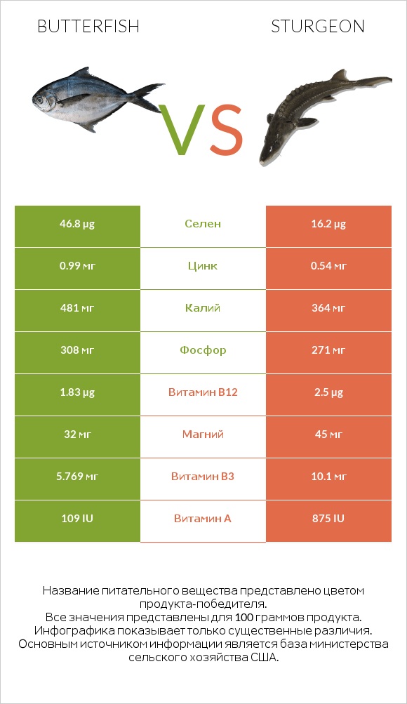 Butterfish vs Sturgeon infographic