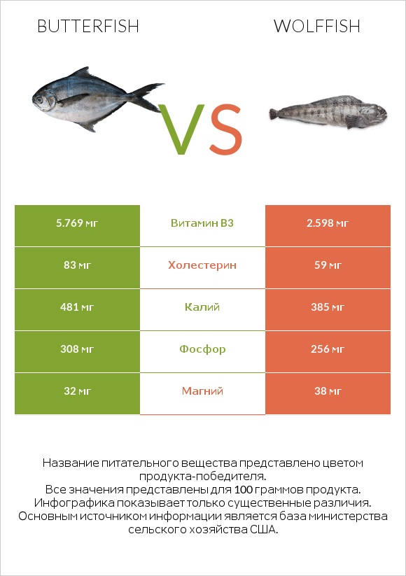 Butterfish vs Wolffish infographic