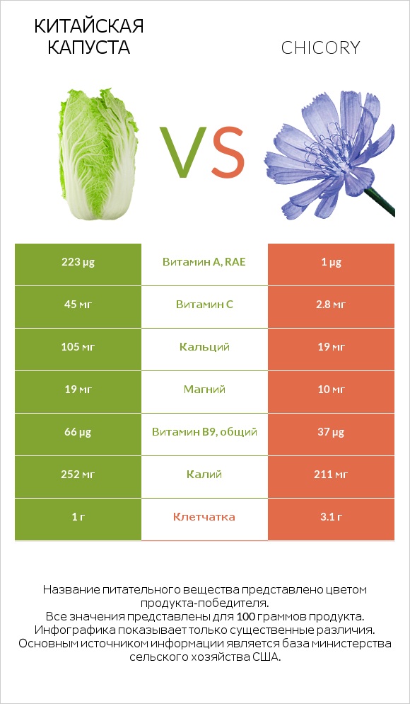 Китайская капуста vs Chicory infographic