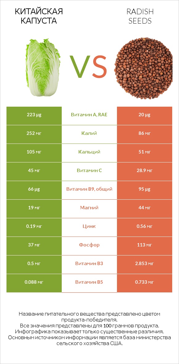 Китайская капуста vs Radish seeds infographic