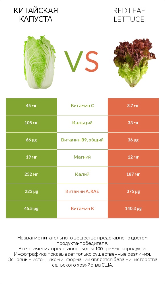Китайская капуста vs Red leaf lettuce infographic