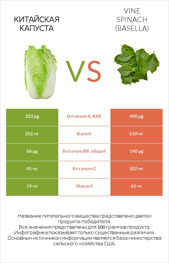 Китайская капуста vs Vine spinach (basella) infographic